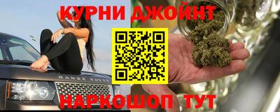 шишки Аргун