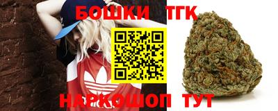 шишки Аргун