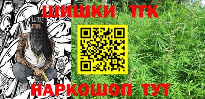 шишки Аргун