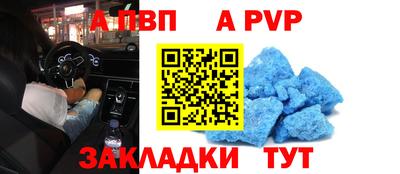 шишки Аргун